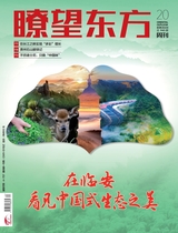 瞭望东方周刊
