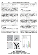北京生物医学工程2025年6月第3期