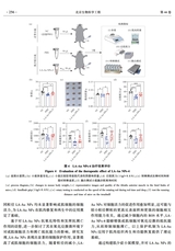 北京生物医学工程2025年6月第3期