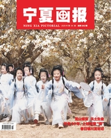 宁夏画报 2025年4月第4期