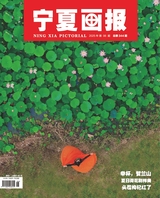 宁夏画报 