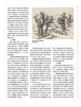 书画世界2025年2月第2期