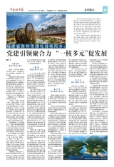 中国城市报2020年4月第268期