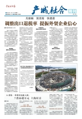 中国城市报2020年4月第268期