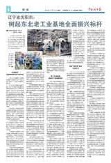 中国城市报2020年4月第268期
