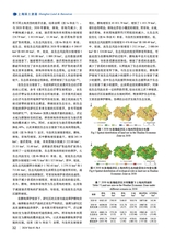 上海国土资源2024年12月第4期