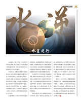 科技创新与品牌2025年1月第1期