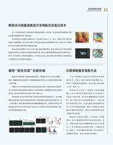 科技创新与品牌2025年2月第2期