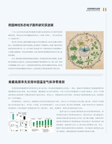 科技创新与品牌2025年6月第6期