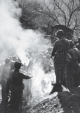 大众摄影2025年8月第8期