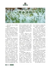 风流一代·经典文摘2025年11月第11期