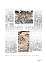 当代文坛2025年7月第4期