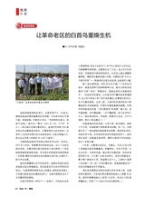 风流一代·青春2025年11月第11期