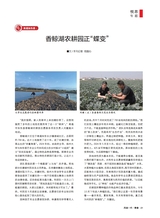 风流一代·青春2025年11月第11期