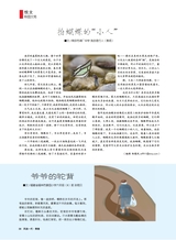 风流一代·青春2025年10月第10期