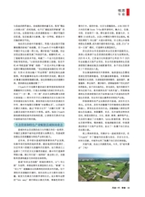 风流一代·青春2025年7月第7期