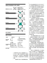 第一财经2025年5月第5期