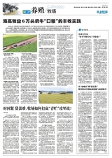 乳业时报2025年9月第862期