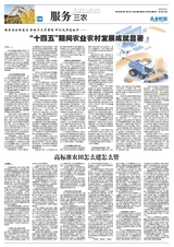 乳业时报2025年9月第862期