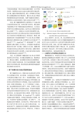 灌溉排水学报2025年10月第10期