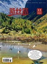 新丝路2020年12月第12期