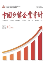 中国乡镇企业会计