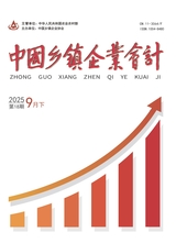 中国乡镇企业会计