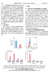 基础医学与临床2025年6月第6期