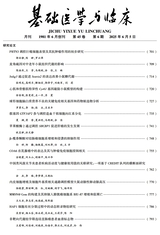 基础医学与临床2025年6月第6期