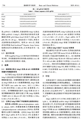 基础医学与临床2025年6月第6期
