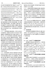 基础医学与临床2025年6月第6期