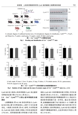 基础医学与临床2025年6月第6期