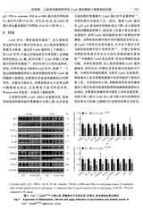 基础医学与临床2025年6月第6期
