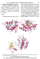基础医学与临床2025年6月第6期