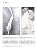 美术界2025年4月第4期