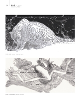 美术界2025年4月第4期