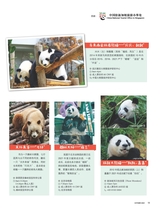 畅游行2025年10月第10期