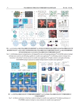 中国造纸学报2025年9月第3期