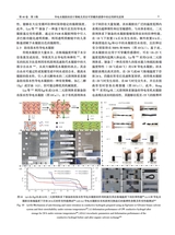 中国造纸学报2025年9月第3期