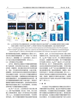 中国造纸学报2025年9月第3期