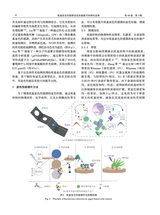 中国造纸学报2025年9月第3期