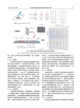 中国造纸学报2025年9月第3期
