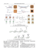 中国造纸学报2025年9月第3期
