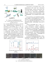 中国造纸学报2025年9月第3期