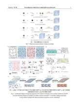中国造纸学报2025年9月第3期
