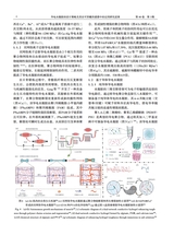 中国造纸学报2025年9月第3期
