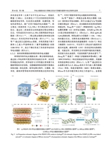 中国造纸学报2025年9月第3期