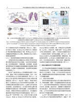 中国造纸学报2025年9月第3期
