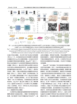 中国造纸学报2025年9月第3期