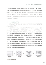 领航：解码广东乡村振兴示范带2025年7月第1期